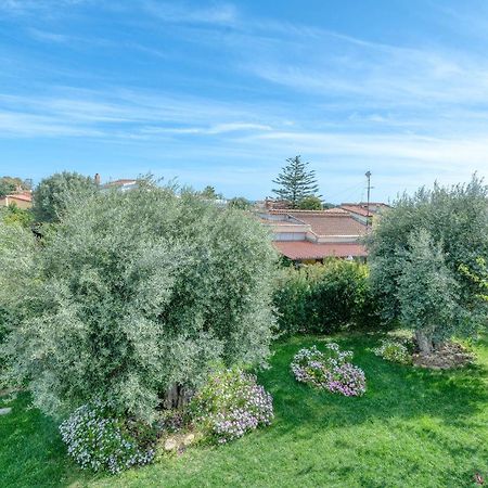 La Casa Degli Ulivi Appartamento In Villa Con Patio Quartu SantʼElena Exteriör bild